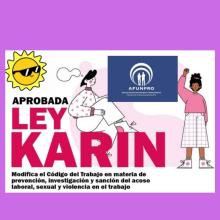 Ley Karin